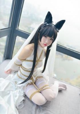 午夜高清无码视频在线观看_HDHD高清在线观看
